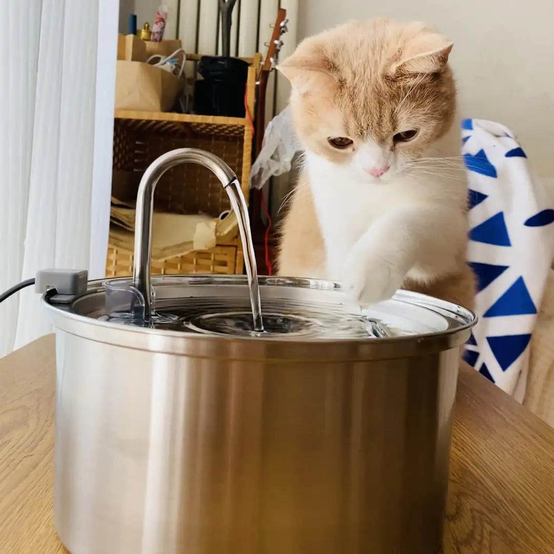 Smart Pet Water Fountain – Ultra-quiet pump | Filters for clean water