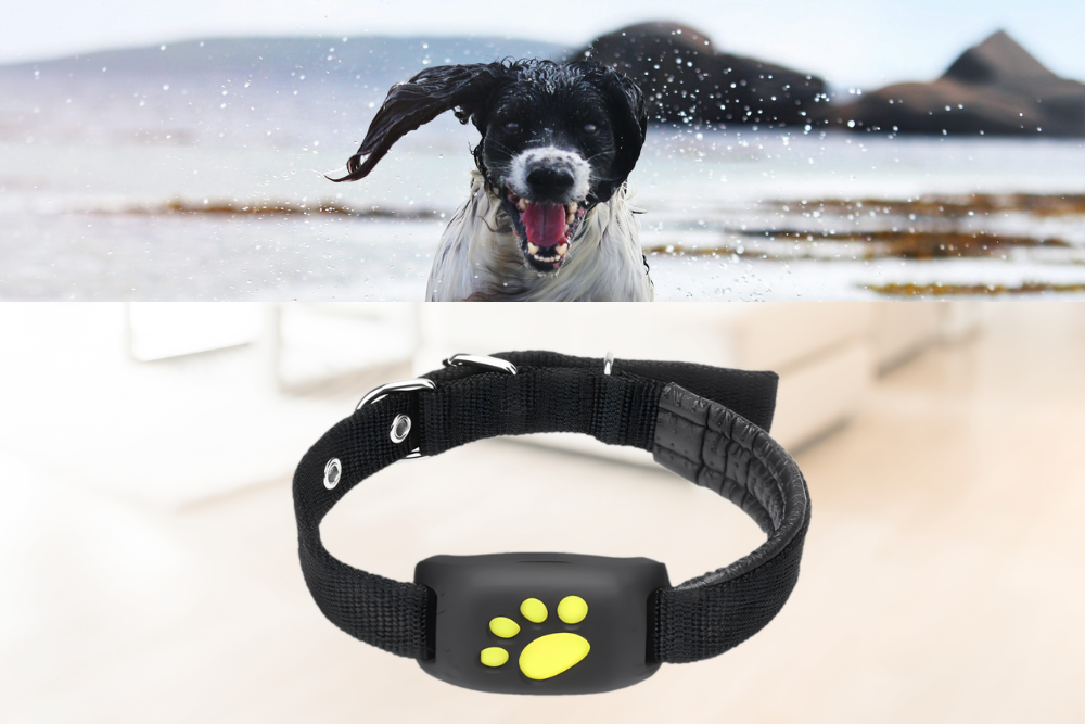 Smart Pet GPS Tracker – Real-time location via app | Waterproof & lightweight