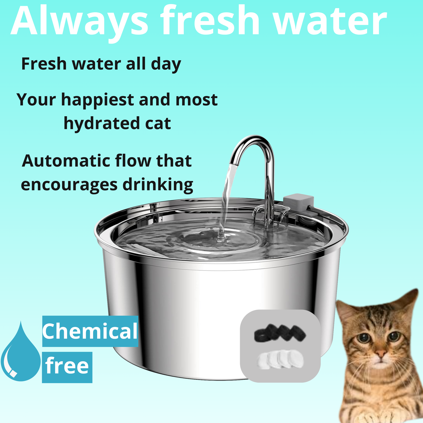 Smart Pet Water Fountain – Ultra-quiet pump | Filters for clean water