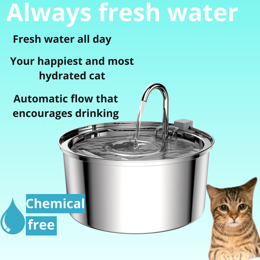 Smart Pet Water Fountain – Ultra-quiet pump | Filters for clean water
