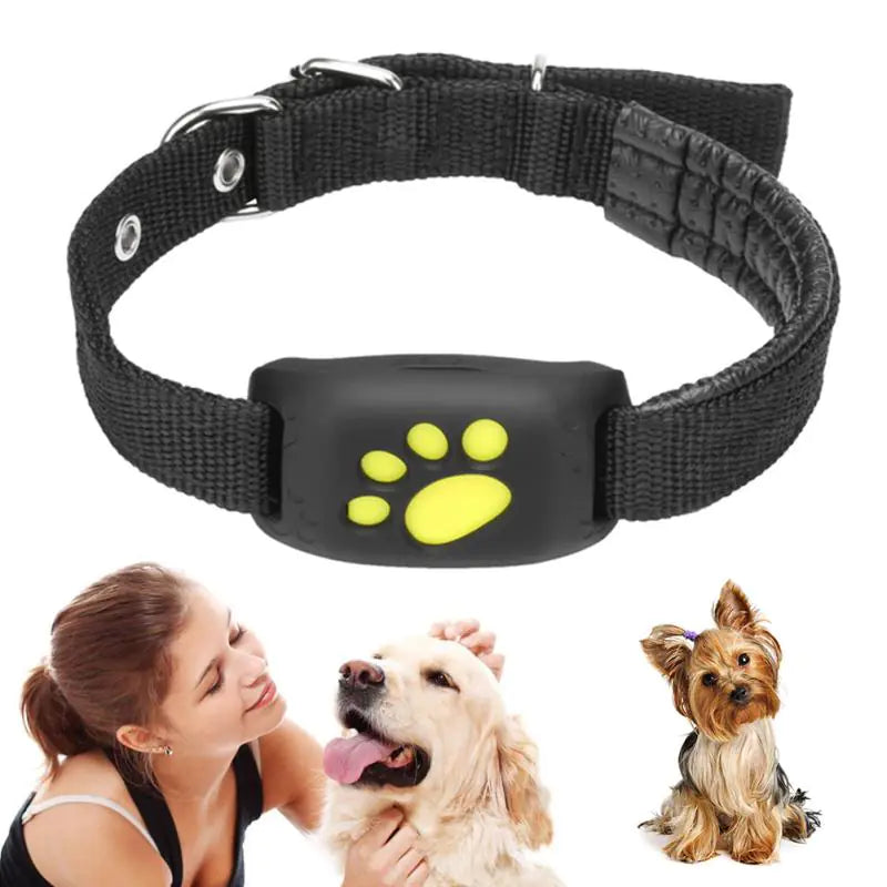 Smart Pet GPS Tracker – Real-time location via app | Waterproof & lightweight