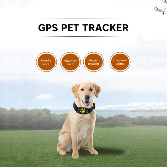 Smart Pet GPS Tracker – Real-time location via app | Waterproof & lightweight